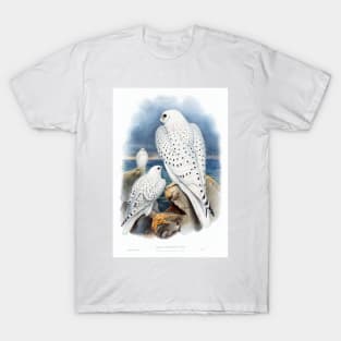 Greenland Falcon T-Shirt